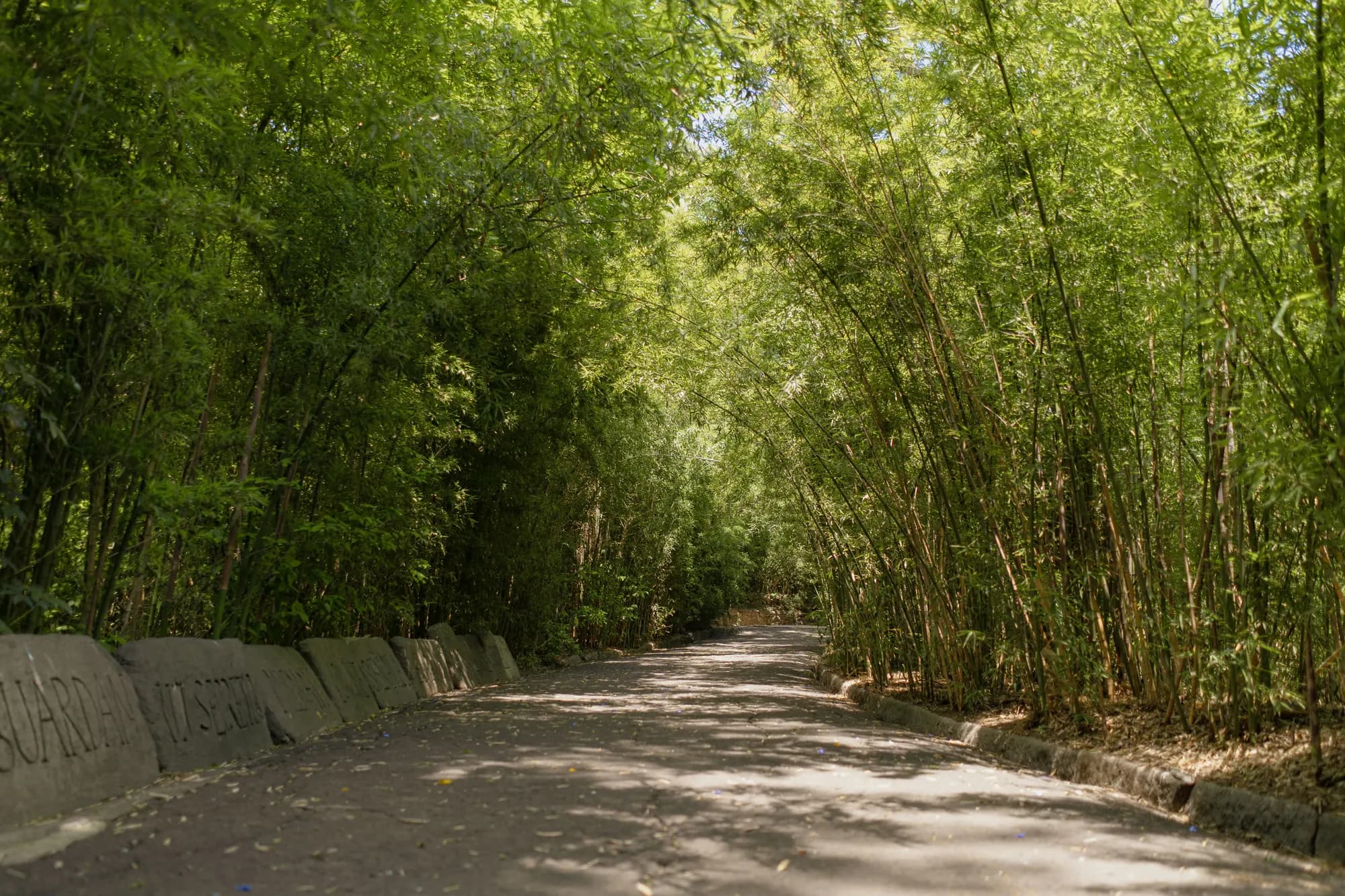 El Parque, foto 11 de 20, de Julieta Correa