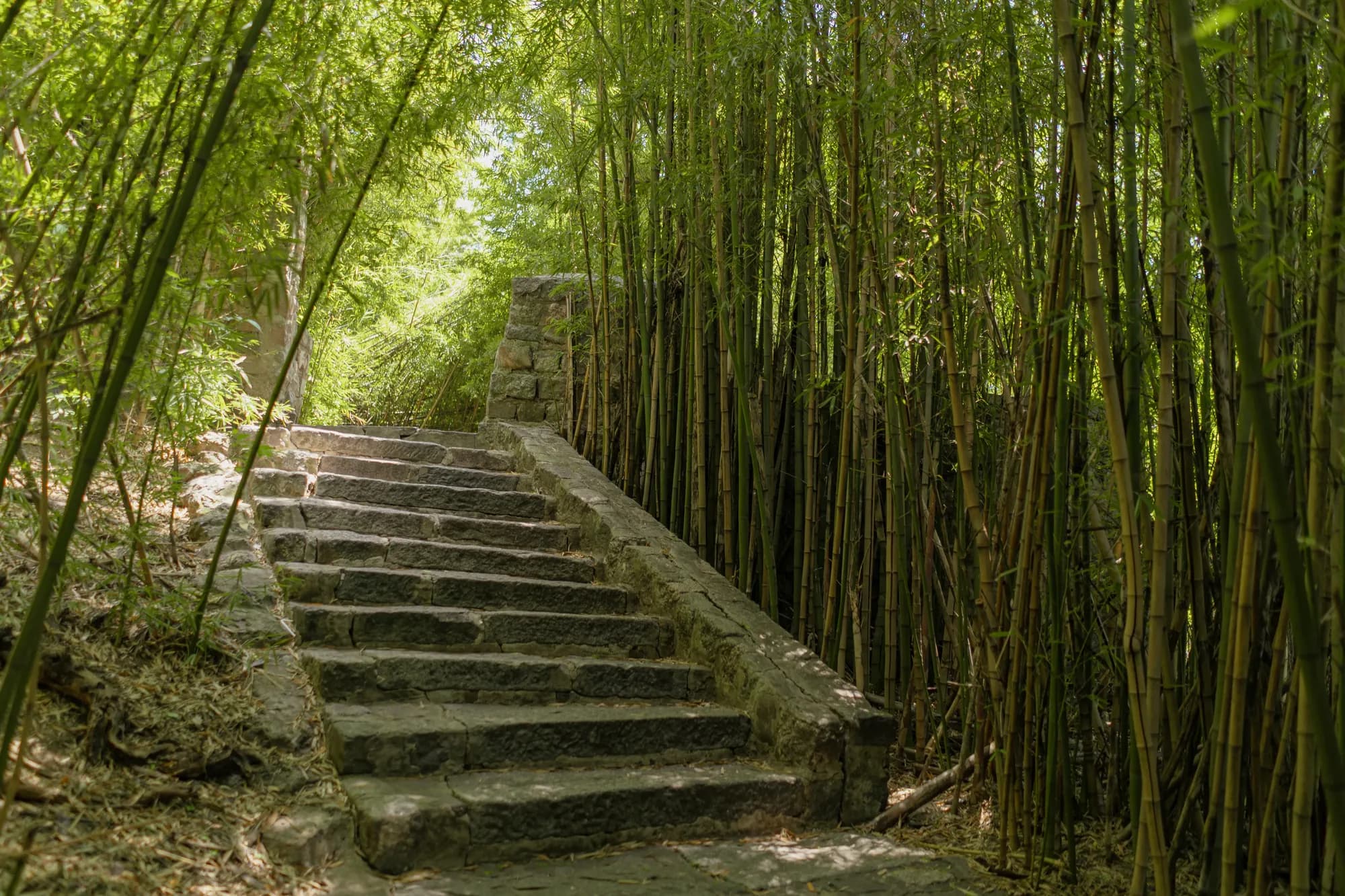 El Parque, foto 19 de 20, de Julieta Correa